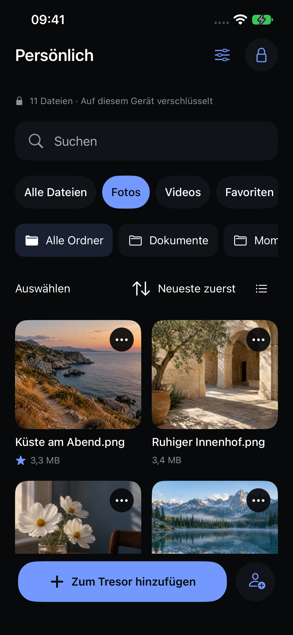 Die native Fotobibliothek von Veil mit Beispiel-Reisefotos.
