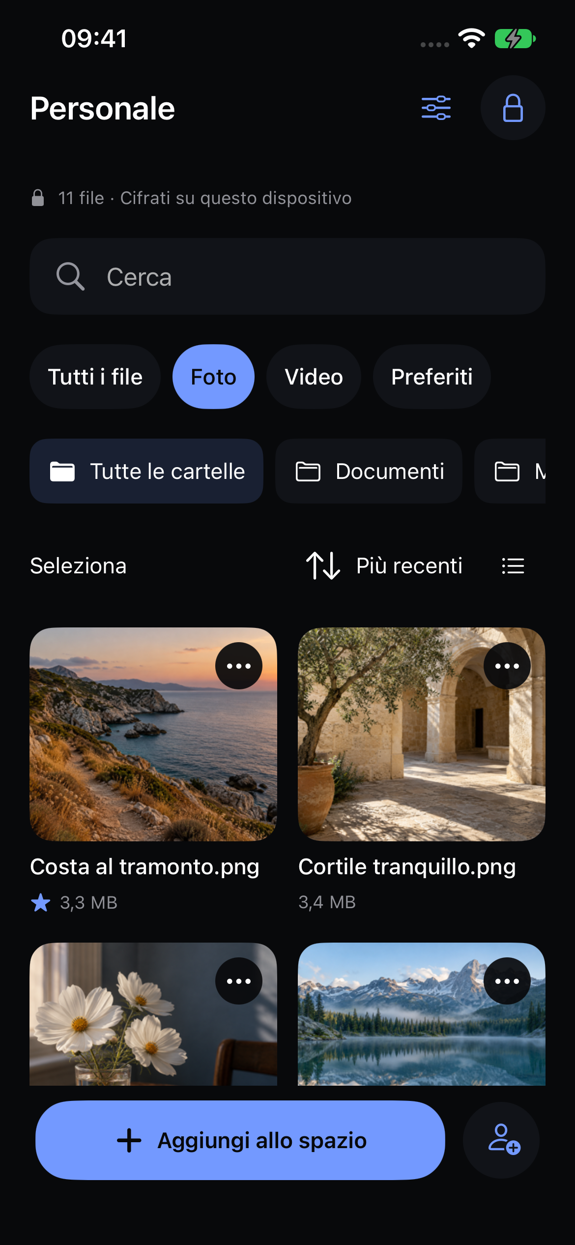 La galleria nativa di Veil con foto di viaggio di esempio.